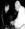 marcof1968