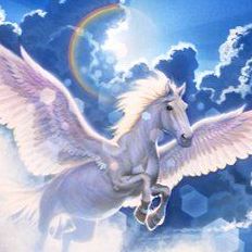 maxipegaso