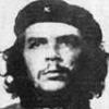 michelerua