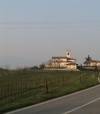 mocasina