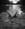 moonandsea