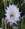 natural_mente_72