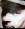 nibbio66_bruno