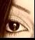 nihal_x81