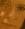 nikole333