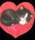 nonnanna34