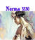 norma3330