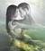 orkidea_selvaggia69