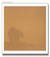 orso_nella_nebbia