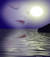 pallina_78