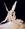 parveen_1985