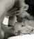 peppe_randazzo2015