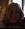 pollon_190386