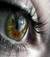 principessa_cali