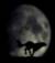 princypeace_nihal