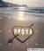 provanelcuore