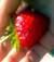 remedios_9