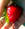 remedios_9