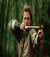robin_hood_1900