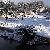 rocco_genovese