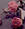 rose.ormai.appassite