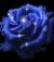 rossella79_7