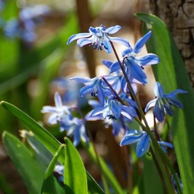 Se copi, violi le regole della Community