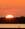 scionthesun
