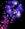 seguendo_le_stelle