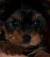 serena_280