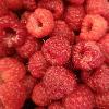 siamoallafrutta1