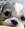 sirio_1dgl