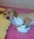 sonia555