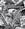 spirito_errante