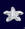 stellamarina_01