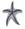 stellargento.c