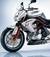 stellina980