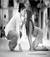 stellinacadente_81