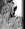 supremomnemosyne