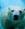 thedeepocean