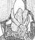 tyche_s