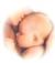 una_luce_nella_notte