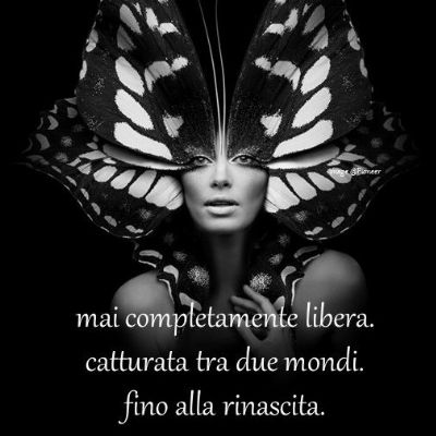 urlodifarfalla