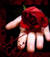 voce_silenziosa