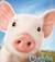 wilbur08