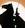 zorro_no7